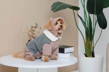 Шапка Pet Fashion Valley для собак розмір S — Фото 2