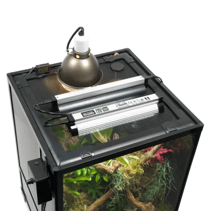 Тераріум HABISTAT GLASS TERRARIUM 45 X 45 X 60CM FLAT-PACKED (R1100070) — Фото 1