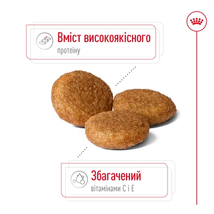 Сухий корм Royal Canin MEDIUM ADULT для дорослих собак середніх порід 4 кг — Фото 4