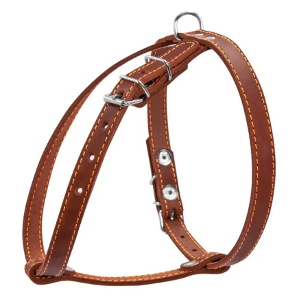 Шлея "CoLLaR" одинарна для малих порід собак (ширина 14мм, А:40-48см, В:43-51см) коричневий — Фото 1