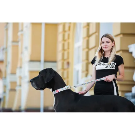Повідець WAUDOG Design з малюнком "Пончики" (ширина 25 мм, довжина 122 см) білий — Фото 2