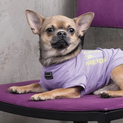 Футболка Pet Fashion «Game» для собак, розмір XS2, бузкова — Фото 5