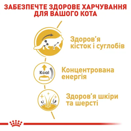 Вологий корм Royal Canin MAINECOON ADULT для котів всіх поріди Мейн-кун 85 г — Фото 3