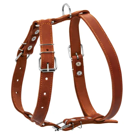 Шлея "CoLLaR" одинарна для середніх собак (ширина 25мм, А:49-68см, В:68-80см) коричневий — Фото 1