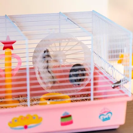 Ferplast CAGE CRICETI 9 PRINCESS WH(x1) Клітка для хом'яків з декором — Фото 3