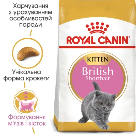 Сухий корм Royal Canin KITTEN BRITISH SHORTHAIR для породи кошенят Британська короткошерста кішка 0,4 кг — Фото 1