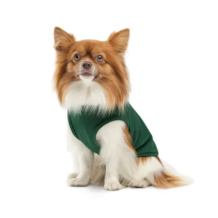 Борцівка Kale ТМ Pet Fashion для собак M зелена — Фото 2