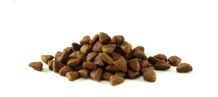 Сухий корм PURINA ONE Sterilcat для дорослих котів після стерилізації комплекс Bifensis з лососем 1,5 кг — Фото 6