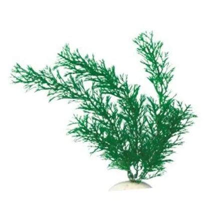 AquatiC Plants (Акватик Плентс) Акваріумна рослина 30cм, AP -023 - 12