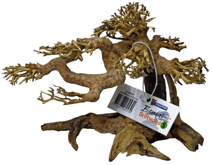 Дерево бонсай BONSAI DRIFTWOOD S (A4080100)