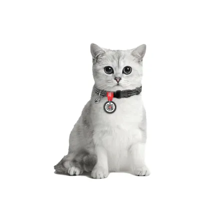 Нашийник для котів з відновленої бавовни WAUDOG Re-cotton з QR паспортом, світловідбиваючий, пластиковий фастекс, XS, Ш 10 мм, Дов 20-30 см, сірий — Фото 3