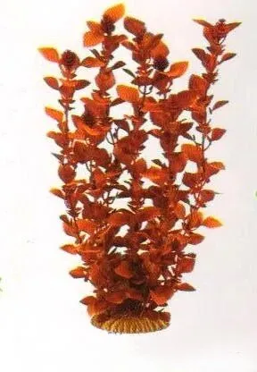 Aquatic Plants (Акватик Плэнтс) Акваріумна рослина, 34 см х 6 шт/уп.
