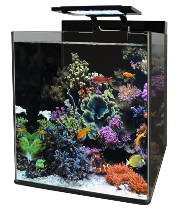 BM REEF 90 AQUARIUM (N4055350) морський акваріумний комплект