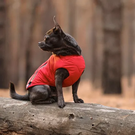 Жилет Pet Fashion «E.Vest» для собак, розмір S, червоний — Фото 4