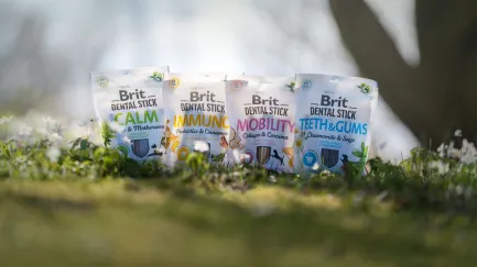 Ласощі для собак Brit Dental Stick Mobility для мобільності суглобів, колаген та куркума, 7 шт, 251 г — Фото 5