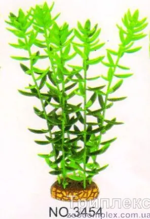 Aquatic Plants (Акватик Плэнтс) Акваріумна рослина, 34 см х 6 шт/уп.