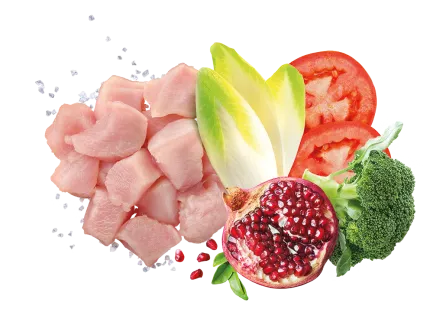 Exclusion Light Chicken Medium&amp;Large Breed корм для собак з надмірною вагою середніх та великих порід з куркою 3 кг — Фото 1