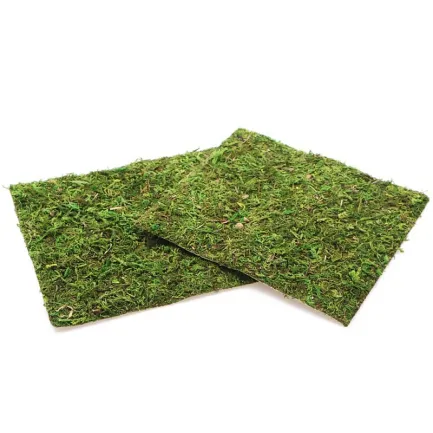 Фон моховий Repti-Zoo Natural Moss Back &amp; Bottom 20x20см 2шт. (NCM2020) — Фото 5