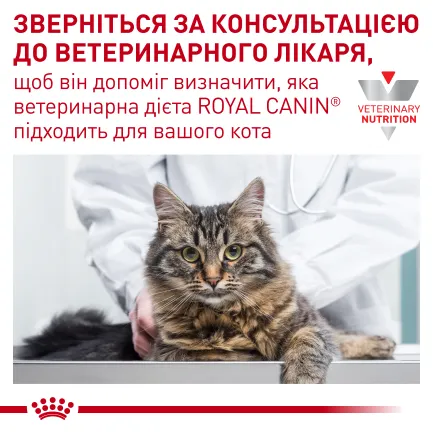 Дієтичний вологий корм Royal Canin GASTROINTESTINAL FIBRE RESPONSE CAT для котів 85 г — Фото 8