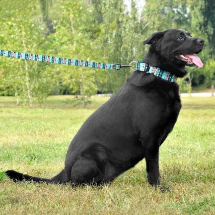 Нашийник для Собак Мартінґейл BronzeDog Urban Нейлоновий з Металевою Фурнітурою Інки L — Фото 4