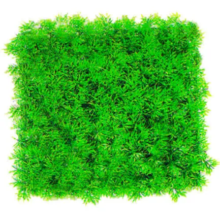 Акваріумна рослина Aquatic Plants-килимок, 25х25х9 см (0525)