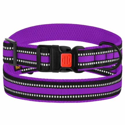 Нашийник для Собак BronzeDog Mesh c Пластиковою Пряжкою Фіолетовий S