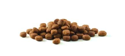 Сухий корм PURINA ONE Indoor для дорослих котів що постійно перебувають у приміщенні комплекс Bifensis з індичкою 800 г — Фото 6