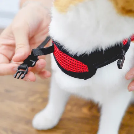 Ferplast JOGGING EXTRA LARGE Шлея з повідцем для котів — Фото 6
