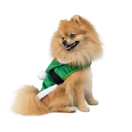 Попона Pet Fashion "Santa" для собак, розмір XS2, зелена — Фото 1