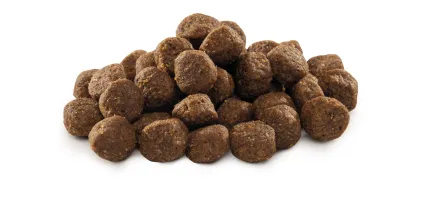 Сухий корм Brit Premium Dog Junior M для цуценят та юніорів середніх порід, з куркою, 1 кг — Фото 1