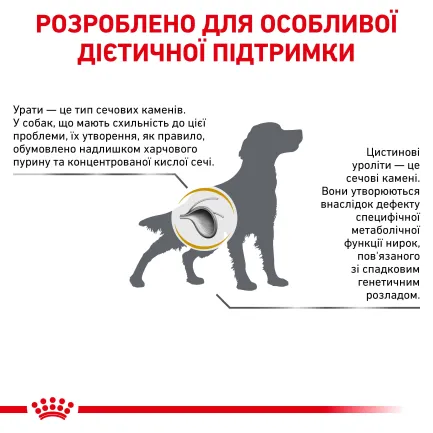 Дієтичний сухий корм Royal Canin URINARY S/O DOG для собак 13 кг — Фото 4
