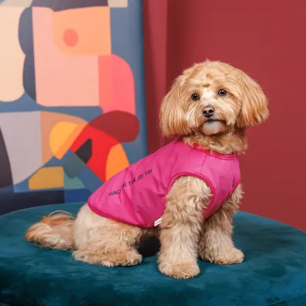 Борцівка Kale ТМ Pet Fashion для собак M малина — Фото 3