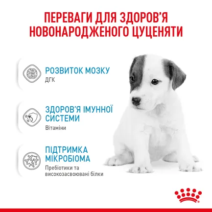 Сухий корм Royal Canin BABYDOG MILK для цуценят всіх порід 2 кг — Фото 9
