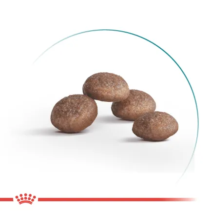 Корм для дорослих стерилізованих котів ROYAL CANIN STERILISED 11+(віком від 11 років) 2 кг — Фото 1