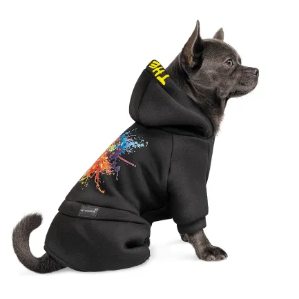 Костюм Pet Fashion «Flash» для собак, розмір S, чорний — Фото 1