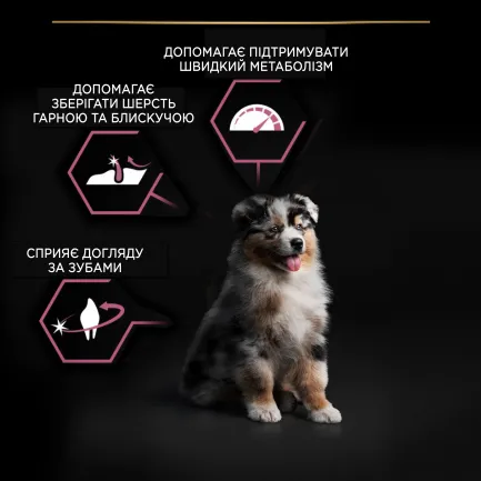 Сухий корм PRO PLAN Medium Puppy <1 Sensitive Skin для цуценят середніх порід з чутливою шкірою з лососем 12 кг — Фото 7