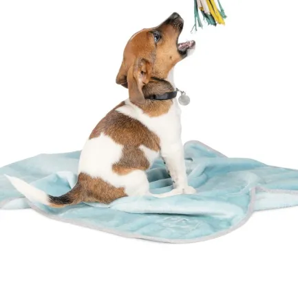 Плед Pet Fashion «Bliss» для собак та цуценят, 77х100 см, м'ята — Фото 1