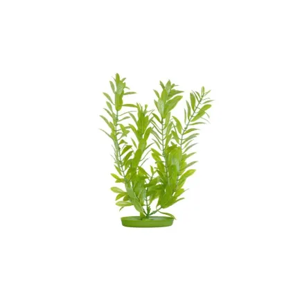 HYGROPHILA 20см пластикова рослина