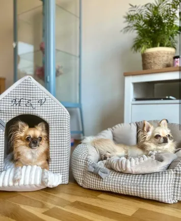 Chloe's Home Будинок для домашніх тварин Берлін екрю М — Фото 1