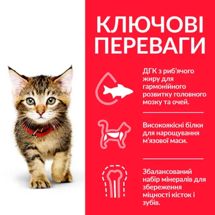 Hill's Science Plan Kitten Сухий корм для кошенят і кішок у період вагітності та лактації, з куркою, 3 кг — Фото 2