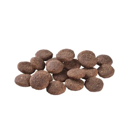 Корм Brit Care Dog Hypoallergenic Adult Large Breed для собак великих порід, гіпоалергенний з ягням, 12+2 кг — Фото 1