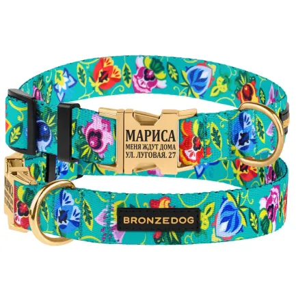 Нашийник для собак Bronzedog Urban Folk нейлоновий з металевою пряжкою золотистого кольору ментоловий XL
