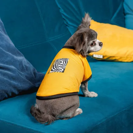 Футболка Pet Fashion Jessica для собак бавовна трикотаж жовта S — Фото 3