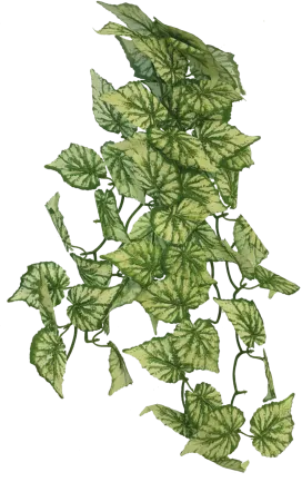 REPTO PLANT HANGING HEDERA 65CM (R5100420) Штучна рослина для тераріума