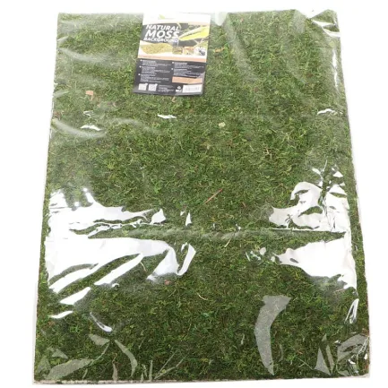 Фон моховий Repti-Zoo Natural Moss Back &amp; Bottom 20x30см 2шт. (NCM3020) — Фото 2