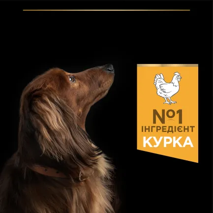 Сухий корм PRO PLAN Small&amp;Mini Adult 1+ Everyday Nutrion для дорослих собак дрібних порід з куркою 700 г — Фото 4