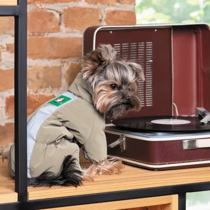 Комбінезон Pet Fashion Ego для собак, розмір XS2, бежевий — Фото 5