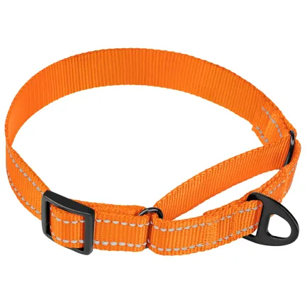 Нашийник для собак Мартінґейл Bronzedog Active нейлоновий зі світловідбиттям оранжевий L — Фото 1