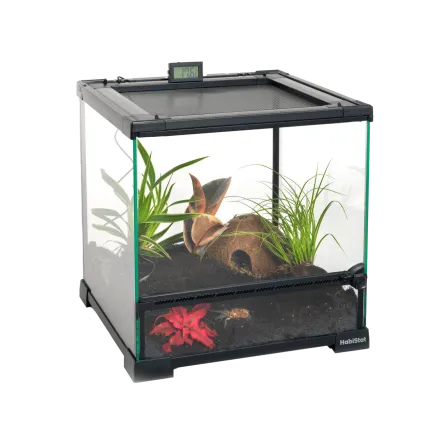 Тераріумний стартовий набір HABISTAT SPIDER STARTER KIT (R1100290) — Фото 4
