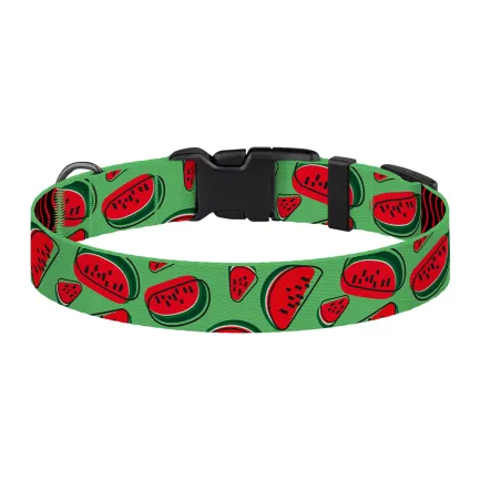 Нашийник для Собак BronzeDog Urban Fruits Нейлоновий з Пластиковою Пряжкою Кавун L — Фото 2